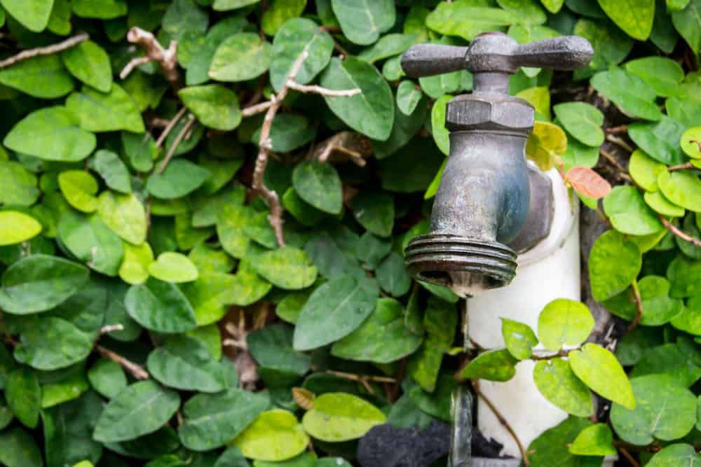 When to Drip Faucets to Prevent Freezing - Trim That Weed
